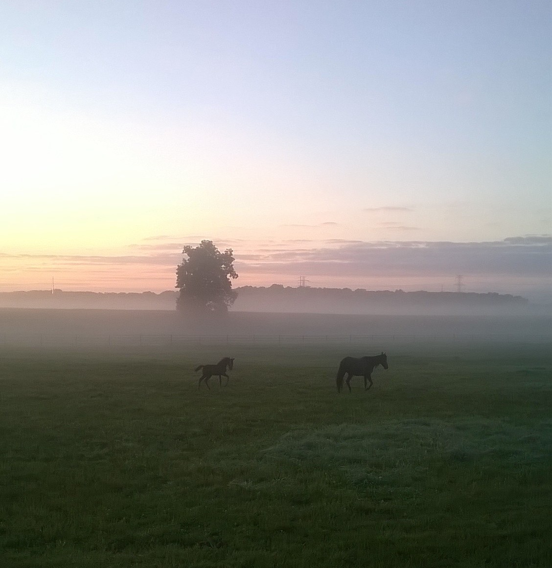 Evensong Farm